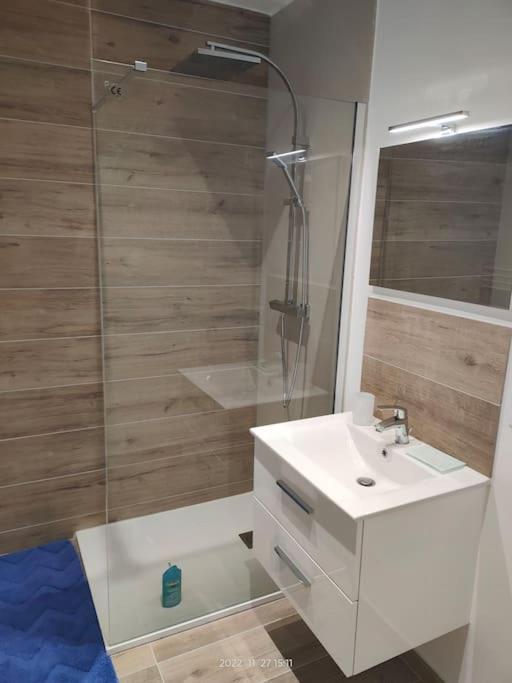 Logement Complet A Villeurbanne Esterno foto